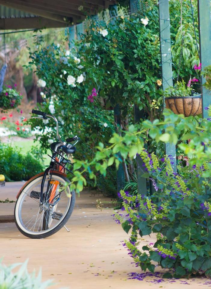 Freshwater Creek Cottages & Farm Stay Torquay Ngoại thất bức ảnh